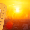 Article image for: Making the right choice this summer