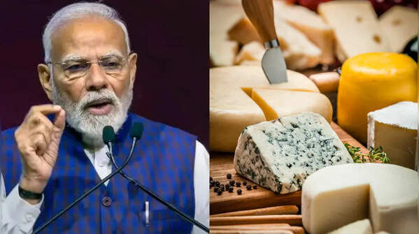 What makes Indian cheese varieties so popular