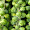 Brussels sprouts for compact growing