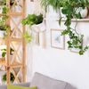 Article image for: Walls that quietly expand <i class="tbold">space</i>