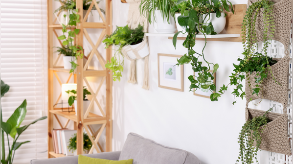 Walls that quietly expand space