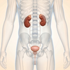 Article image for: The body speaks in <i class="tbold">small</i> ways