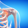 Understanding osteoporosis before it arrives