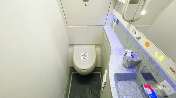 Properly flushing the toilet and washing your hands