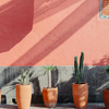 Article image for: Bring Back Terracotta, <i class="tbold">jaipur</i>-Style