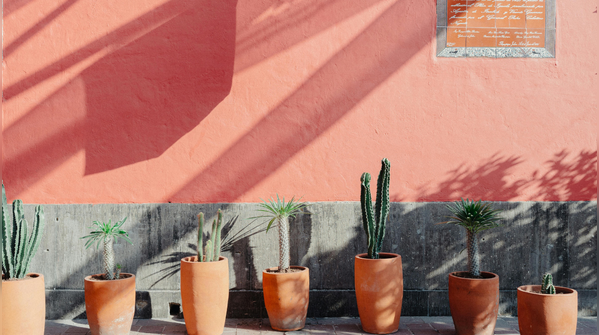 Bring Back Terracotta, Jaipur-Style