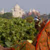 Article image for: Heatwave to Continue Across North and Central <i class="tbold">india</i>