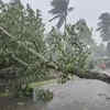 Article image for: Hailstorm Alert in Parts of Eastern States