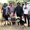 Deserted in the sun: One Husky found dead on Hyderabad outskirts, 5 rescuedFive Siberian Huskies were found abandoned...