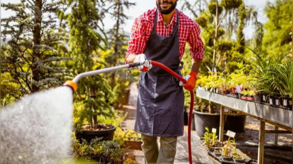 Modify watering strategy according to the weather