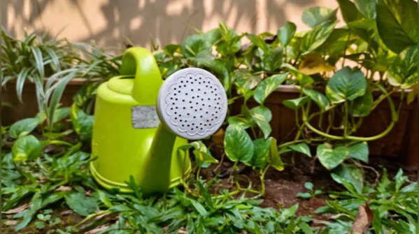 Select appropriate tools for watering