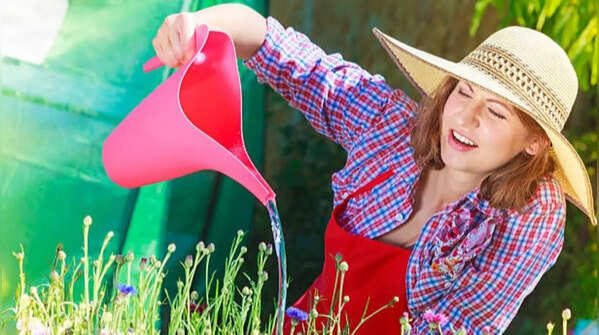 7 watering hacks every gardener should know