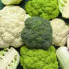 Brassicas: Winter must-haves