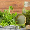 Herbs: The easy wins