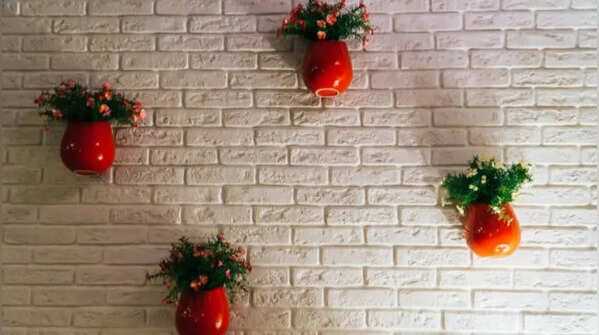 Install wall-mounted plants
