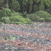 Article image for: Power consumption drops sharply after grid damage