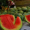 Article image for: Watermelon prices crash in Navi <i class="tbold">mumbai</i> as demand drops sharply after incident