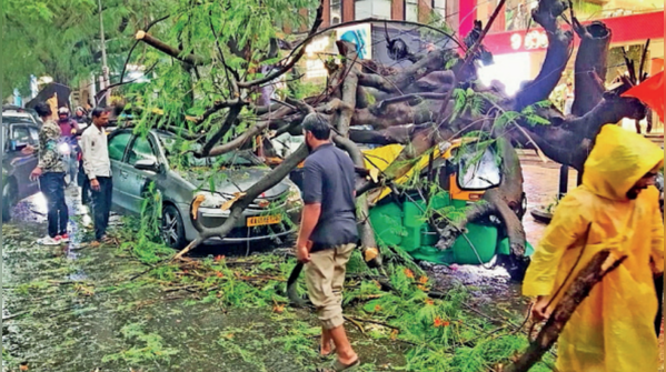 Hundreds of trees and branches fall across Bengaluru