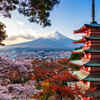 The "One-Way Door" of the Japanese Imperial Family