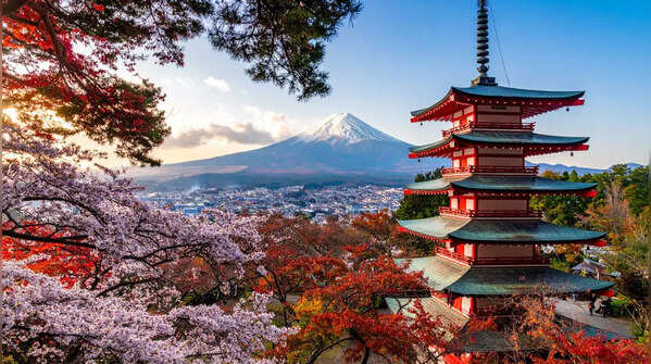 The "One-Way Door" of the Japanese Imperial Family