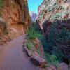 Article image for: Zion National Park, Utah