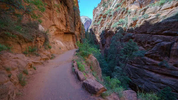 Zion Photos