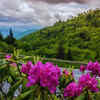 Article image for: Great Smoky Mountains National Park (Tennessee & North Carolina)