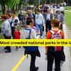 Article image for: 5 most crowded national parks in the USA; what travellers should know
