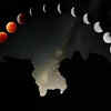 Article image for: Purnima in May 2026: Date, moonrise timings, puja rituals and significance of Vaishakha Purnima