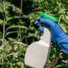 Use natural deterrents