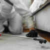 Article image for: Control rodents and pests