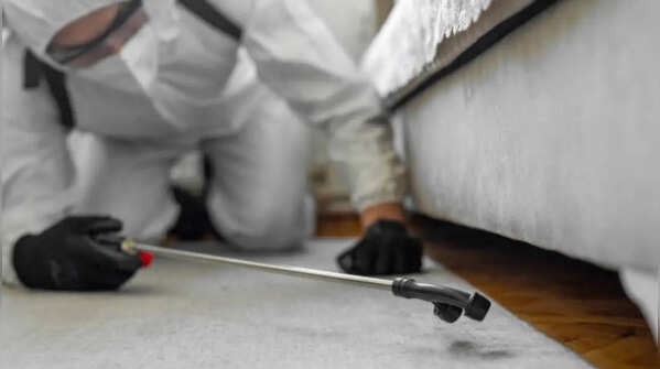 Control rodents and pests