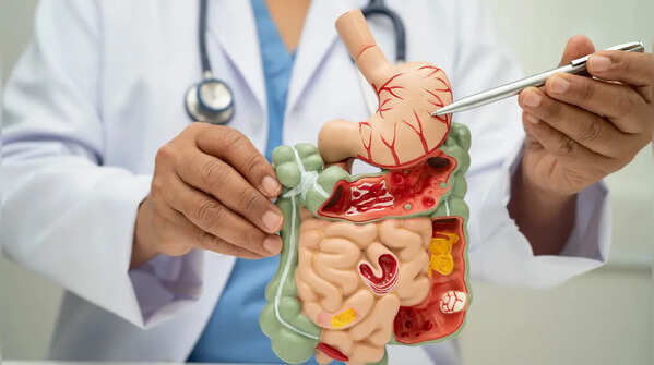 Sluggish digestion? Harvard doc reveals a 10-minute fix