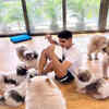 Article image for: Gym with furry <i class="tbold">friends</i>