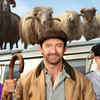 Article image for: 'The Sheep Detectives'