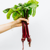 Article image for: The quiet work of B6 and Folate
