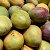 Article image for: How to enjoy <i class="tbold">mango</i>es without side effects