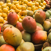 Article image for: Why <i class="tbold">mango</i>es feel “heaty” in summer
