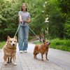 Article image for: Smart walk timing