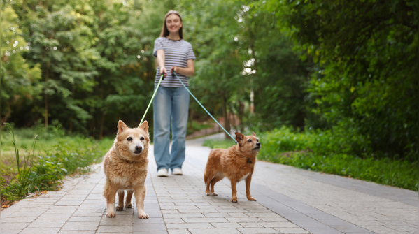 Smart walk timing