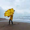 Article image for: The Storm Theory
