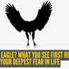 Article image for: Optical illusion personality test: Rabbit or eagle? What you see first reveals your deepest fear in life