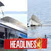 Article image for: Nine Dead As Tourist Boat Capsizes In Jabalpur, Survivors Allege Major Safety Lapses