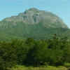 Article image for: Monks seek scrapping ESZ status for Girnar sanctuary