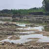 Article image for: 13yo killed in crocodile attack while bathing in pond