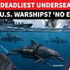 Article image for: Iran Plans To Deploy Mine-Carrying Dolphins To Bomb US warships In Strait Of Hormuz