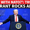 Article image for: Trump Calls NATO 'Paper Tiger,' Fumes Over 'No Help' During Iran War; Exit From Military Bloc Next?