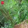 Article image for: Army Defuses World War II-Era Unexploded Bomb Found In Assam’s Tinsukia