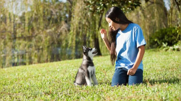 Good-natured, friendly and social