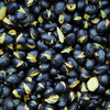 Article image for: <i class="tbold">black</i> soybeans